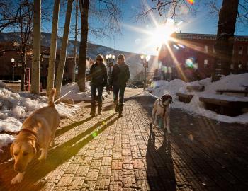 Buy, Sell, Rent or Live In An Aspen, Colorado Condominium Buy, Sell, Rent or Live In An Aspen, Colorado Condominium