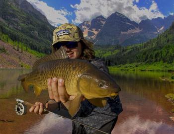 Taylor Creek Fly Shops